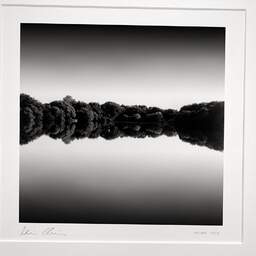 Art and collection photography Denis Olivier, Woods At Dusk, Sandun Ponds, Guérande, Brière. August 2020. Ref-1351 - Denis Olivier Photography, original photographic print in limited edition and signed, framed under cardboard mat