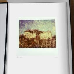 Art and collection photography Denis Olivier, Yet Another Life Season, Ambés, France. February 2015. Ref-1301 - Denis Olivier Art Photography, original photographic print in limited edition and signed, framed under cardboard mat